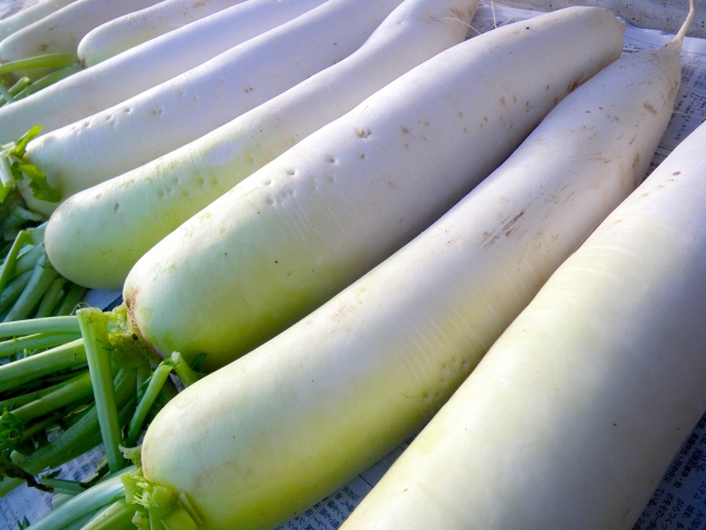 おはよう朝日です レシピ 冬野菜 保存法 白菜