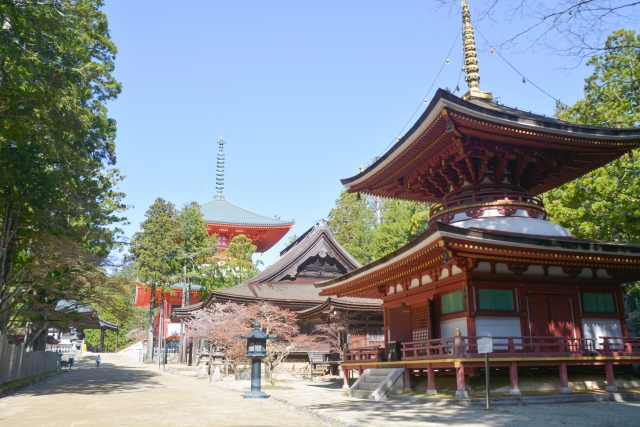 世界一受けたい授業 7月14日 お寺ごはん