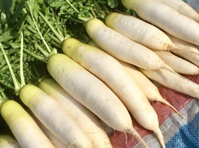 この差って何ですか レシピ 冬野菜の健康効果 ゆーママ 作り置きレシピ 大根