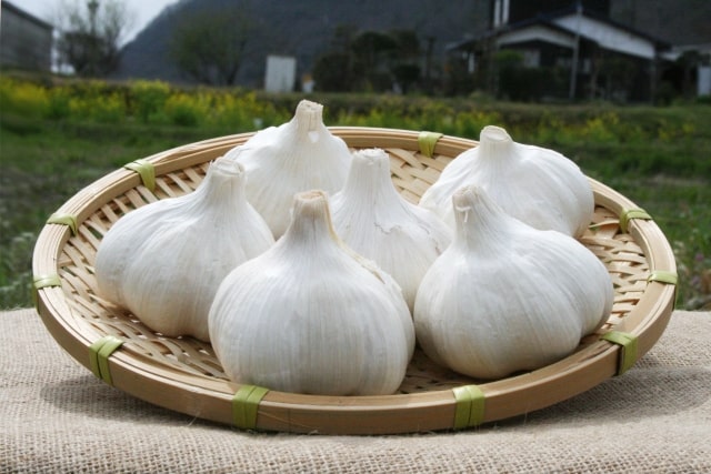 教えてもらう前と後 にんにく 臭いを消す 凍らせにんにく 冷凍にんにくの醤油漬け