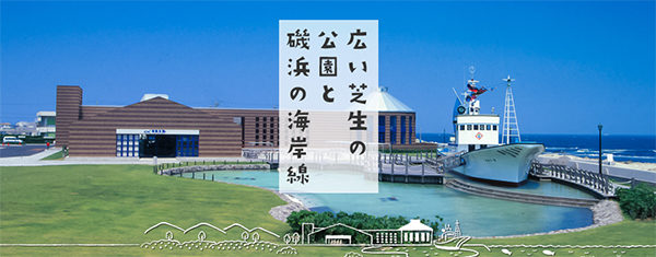 相葉マナブ レシピ 道の駅ごはん 作り方 材料