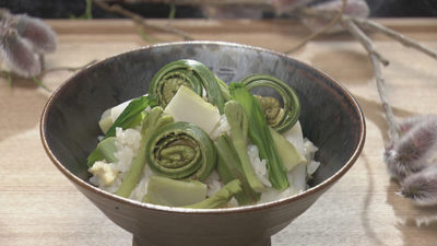 あさイチ 作り方 材料 レシピ ハレトケキッチン たけのこ 山菜ごはん