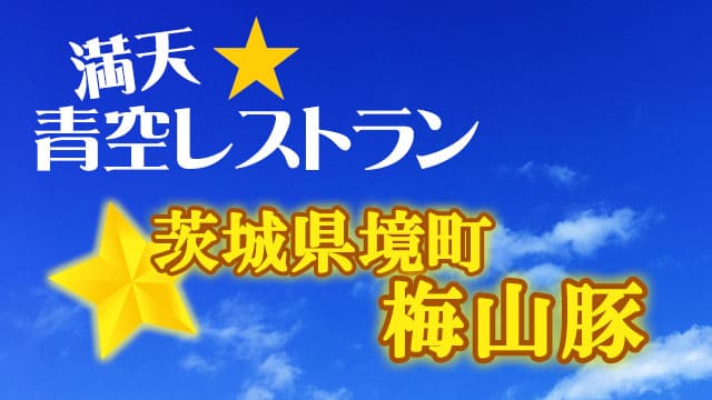 青空レストラン レシピ 作り方 茨城 梅山豚 取り寄せ