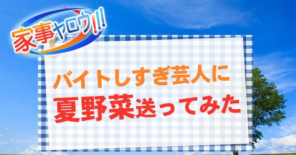 家事ヤロウ バイトしすぎ芸人に夏野菜送ってみた