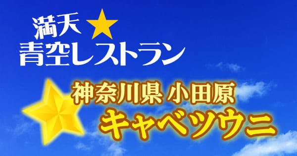 青空レストラン 神奈川 小田原 キャベツウニ