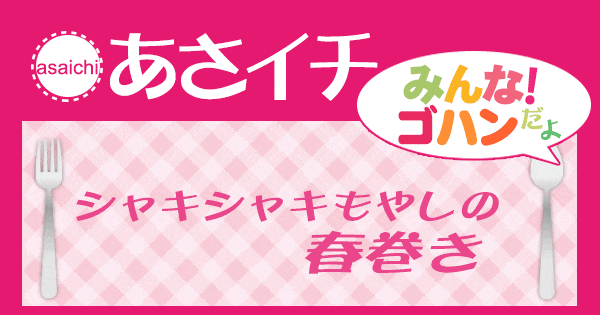 あさイチ みんな！ゴハンだよ 作り方 材料 レシピ もやし 春巻き