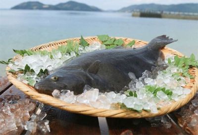 青空レストラン 山口県 下松市 笠戸島 笠戸ひらめ