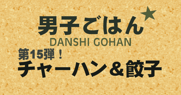 男子ごはん チャーハン 餃子 第15弾