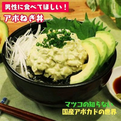 マツコの知らない世界 国産アボカドの世界 雪国アボカド アボねぎ丼