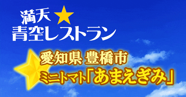 満天 青空レストラン 愛知 豊橋 ミニトマト あまえぎみ