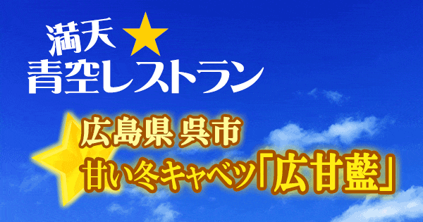 満天 青空レストラン 広島 呉市 甘い 冬キャベツ 広甘藍