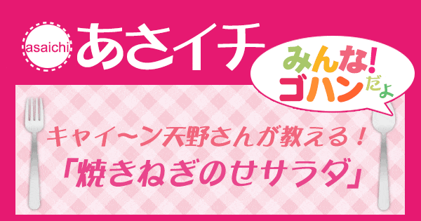 あさイチ みんな！ゴハンだよ 作り方 材料 レシピ 焼きねぎのせサラダ