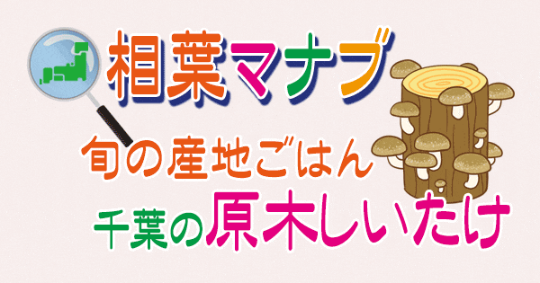 相葉マナブ 旬の産地ごはん 千葉 原木しいたけ