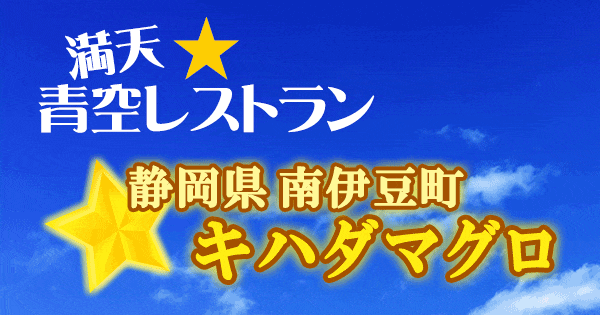 青空レストラン 静岡 賀茂郡 南伊豆町 キハダマグロ