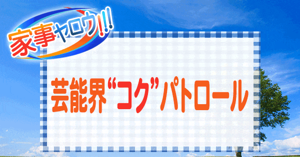 家事ヤロウ 芸能界 コク パトロール