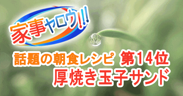 家事ヤロウ 話題の朝食レシピ ベスト20 第14位 天のや風 厚焼き玉子サンド