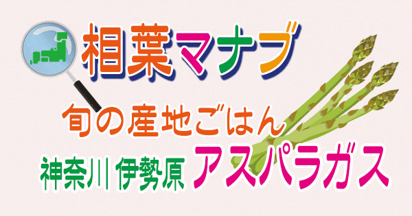 相葉マナブ 旬の産地ごはん 神奈川県 伊勢原市 アスパラガス