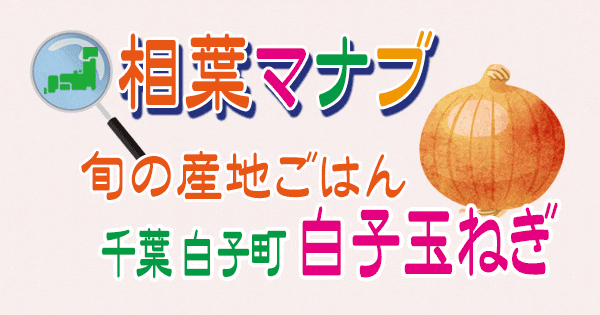 相葉マナブ 旬の産地ごはん 千葉 白子町 白子玉ねぎ