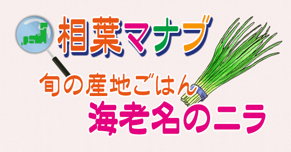 相葉マナブ 旬の産地ごはん 海老名 ニラ