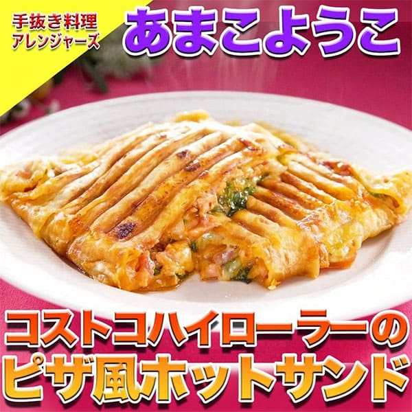 ソレダメ あなたの常識は非常識 手抜き料理アレンジャーズ レシピ 作り方 あまこようこ コストコ ハイローラー