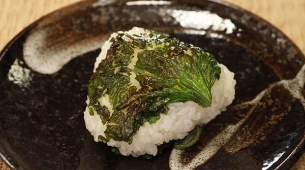 相葉マナブ 旬の産地 鎌倉野菜