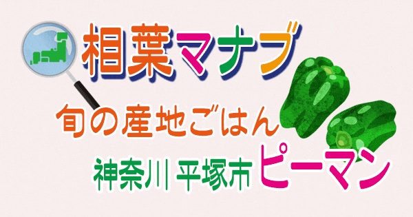相葉マナブ 旬の産地ごはん 神奈川 平塚市 ピーマン