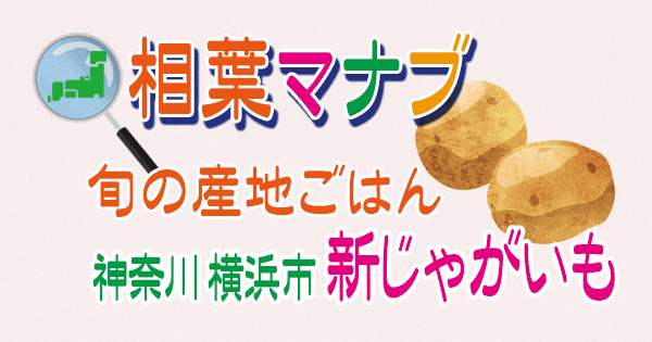 相葉マナブ 旬の産地ごはん 神奈川 横浜 新じゃがいも