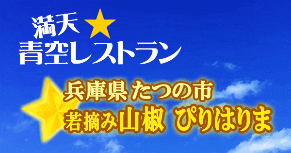 満天 青空レストラン 兵庫 たつの市 若摘み山椒 ぴりはりま