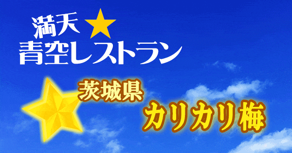 青空レストラン 茨城県 カリカリ梅