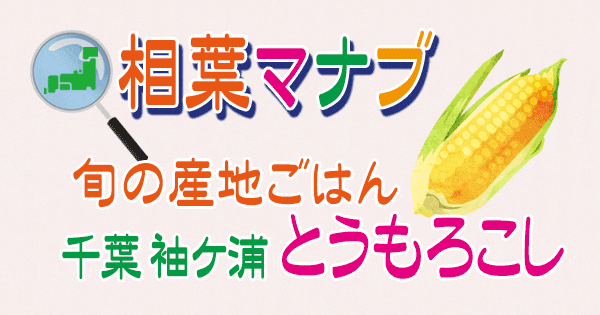 相葉マナブ 旬の産地ごはん 千葉 袖ヶ浦 とうもろこし