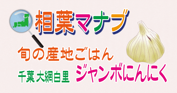 相葉マナブ 旬の産地ごはん 千葉 大網白里市 ジャンボにんにく