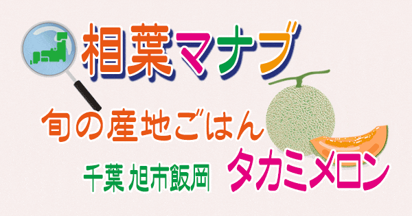 相葉マナブ 旬の産地ごはん 千葉 旭市飯岡 タカミメロン