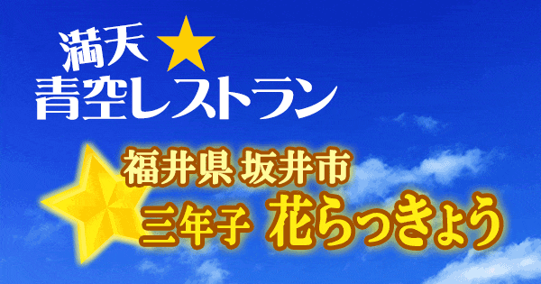 青空レストラン 福井 坂井市 三年子 花らっきょう