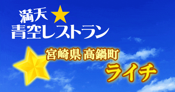 青空レストラン 宮崎県 高鍋町 ライチ