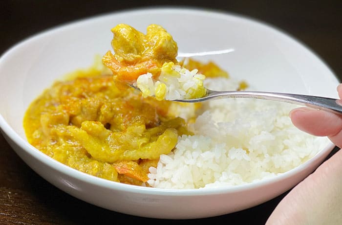 印度カリー子 爆速 チキンカレー スパイスカレー レンチン 時短