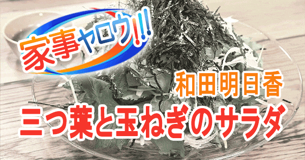 家事ヤロウ リアル家事24時 和田明日香 三つ葉と玉ねぎのサラダ