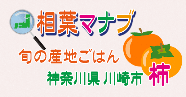 相葉マナブ 旬の産地ごはん 柿 神奈川 川崎市