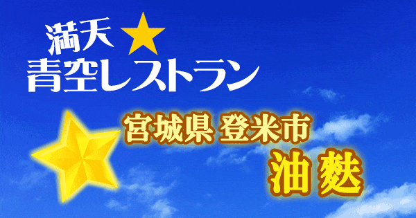 青空レストラン 宮城 登米市 油麩