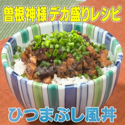 家事ヤロウ ギャル曾根 相撲大家族 デカ盛り飯 ひつまぶし風丼 サバ缶