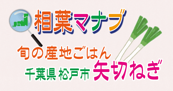 相葉マナブ 旬の産地ごはん 矢切ねぎ 千葉 松戸市