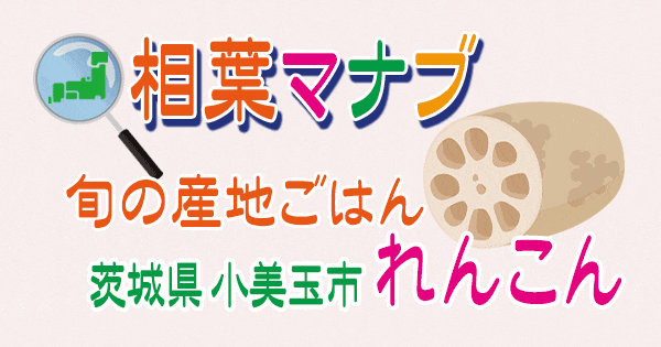 相葉マナブ 旬の産地ごはん 茨城 小美玉市 れんこん