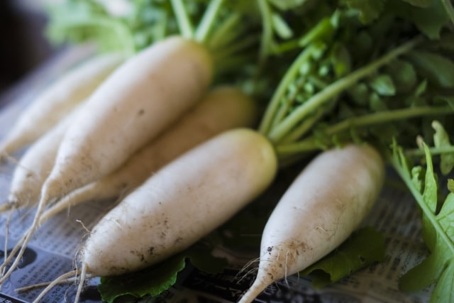 世界一受けたい授業 レシピ 冬野菜 大根