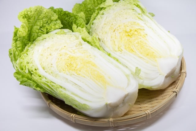 世界一受けたい授業 レシピ 冬野菜 白菜