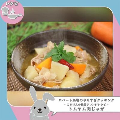 ラヴィット レシピ 作り方 ロバート馬場やりすぎ料理 タイ料理 肉じゃが