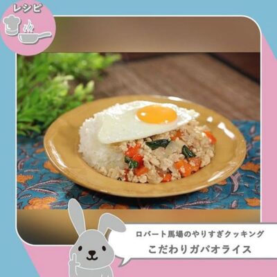 ラヴィット レシピ 作り方 ロバート馬場やりすぎ料理 タイ料理 ガパオライス