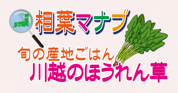 相葉マナブ 旬の産地ごはん 埼玉 川越市 川越ほうれん草