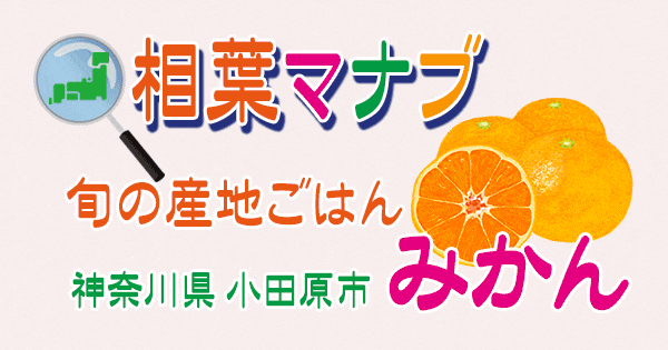 相葉マナブ 旬の産地ごはん 神奈川 小田原 みかん