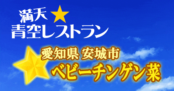 青空レストラン 愛知県 安城市 ベビーチンゲン菜