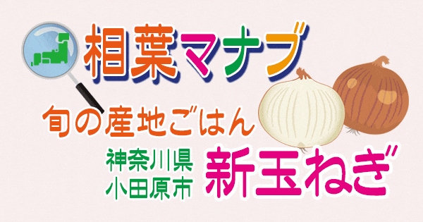 相葉マナブ 旬の産地ごはん 新玉ねぎ 神奈川 小田原