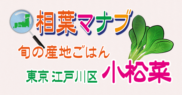 相葉マナブ 旬の産地ごはん 小松菜 東京 江戸川区